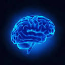 Image result for free image of brain